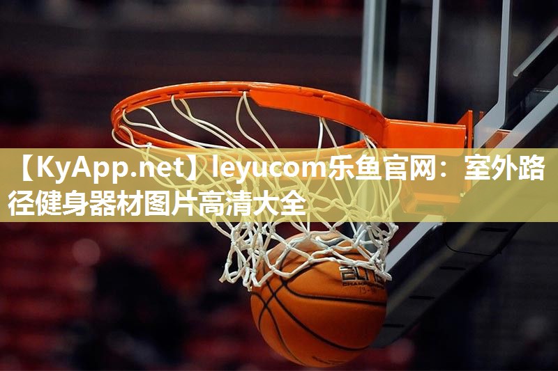 leyucom乐鱼官网：室外路径健身器材图片高清大全