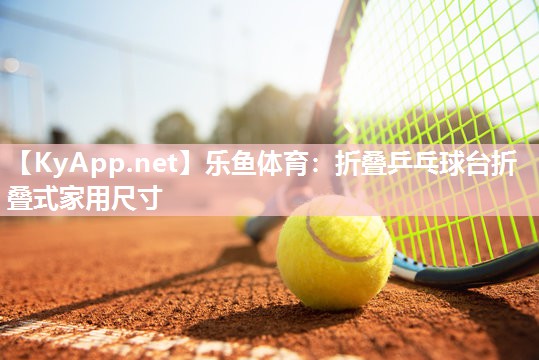 乐鱼体育：折叠乒乓球台折叠式家用尺寸