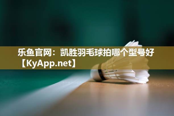 乐鱼官网：凯胜羽毛球拍哪个型号好