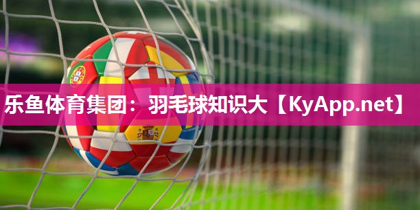 乐鱼体育集团：羽毛球知识大