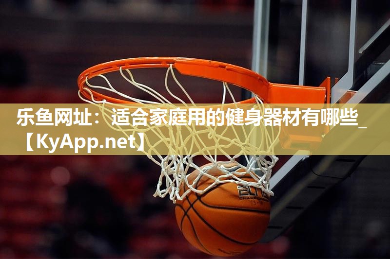 乐鱼网址：适合家庭用的健身器材有哪些_