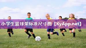 小学生篮球架标准尺寸图