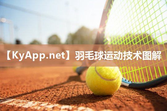 羽毛球运动技术图解