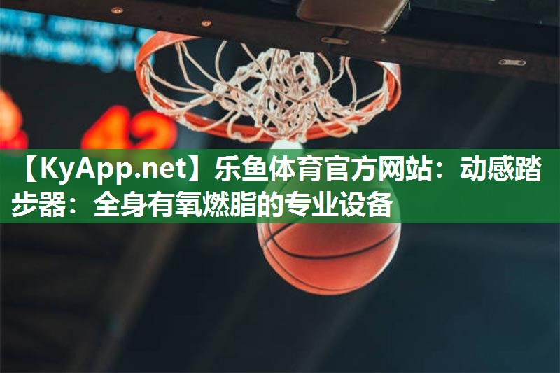 动感踏步器：全身有氧燃脂的专业设备