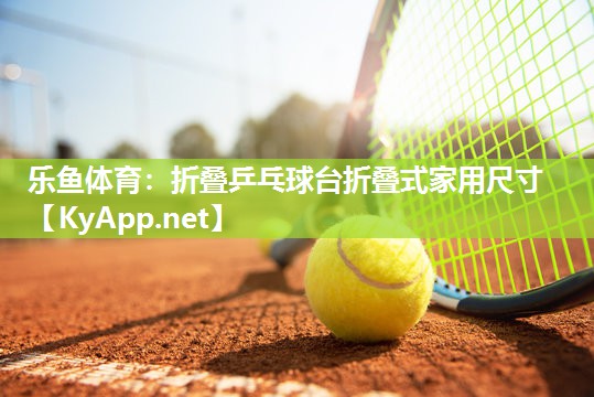 折叠乒乓球台折叠式家用尺寸