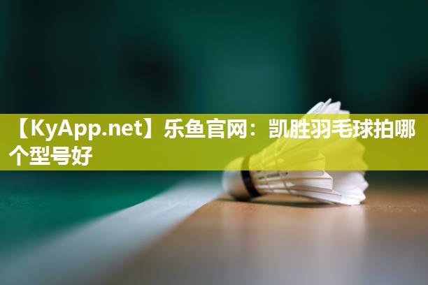 凯胜羽毛球拍哪个型号好