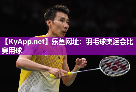 羽毛球奥运会比赛用球