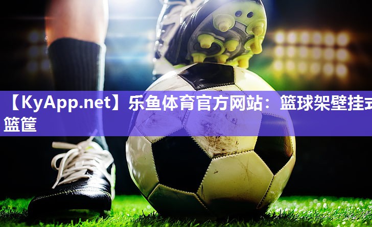 篮球架壁挂式篮筐