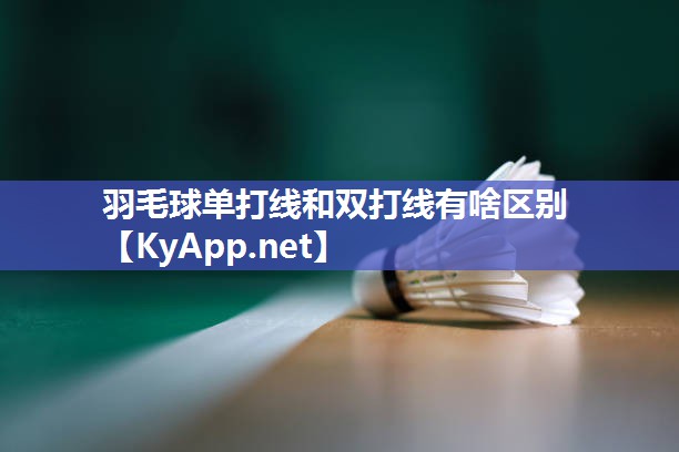 羽毛球单打线和双打线有啥区别