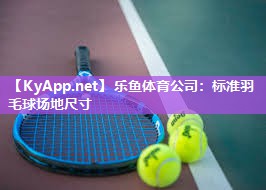标准羽毛球场地尺寸