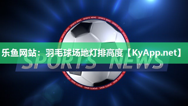 羽毛球场地灯排高度