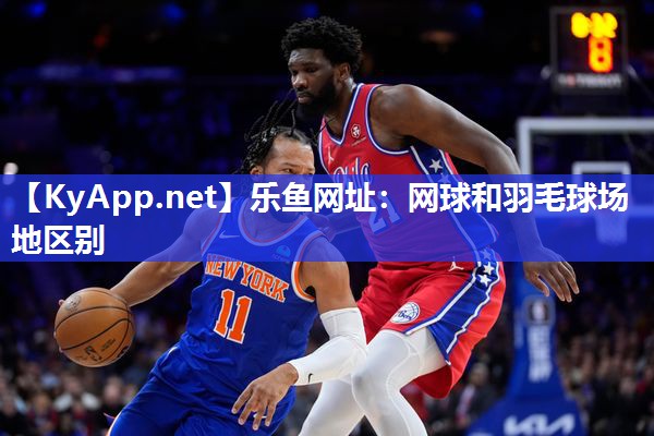 网球和羽毛球场地区别