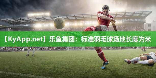 标准羽毛球场地长度为米