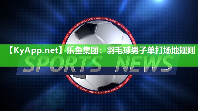 羽毛球男子单打场地规则