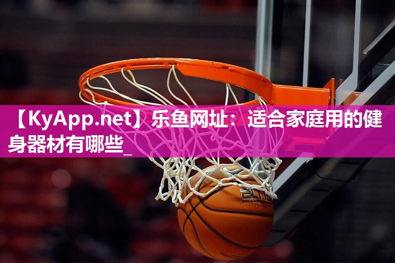 适合家庭用的健身器材有哪些_